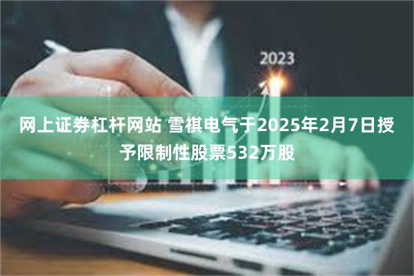 网上证劵杠杆网站 雪祺电气于2025年2月7日授予限制性股票532万股