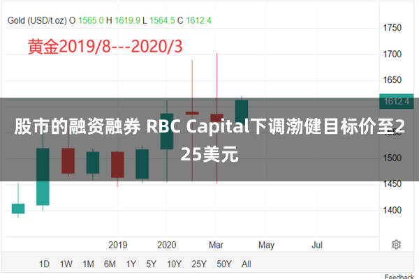 股市的融资融券 RBC Capital下调渤健目标价至225美元